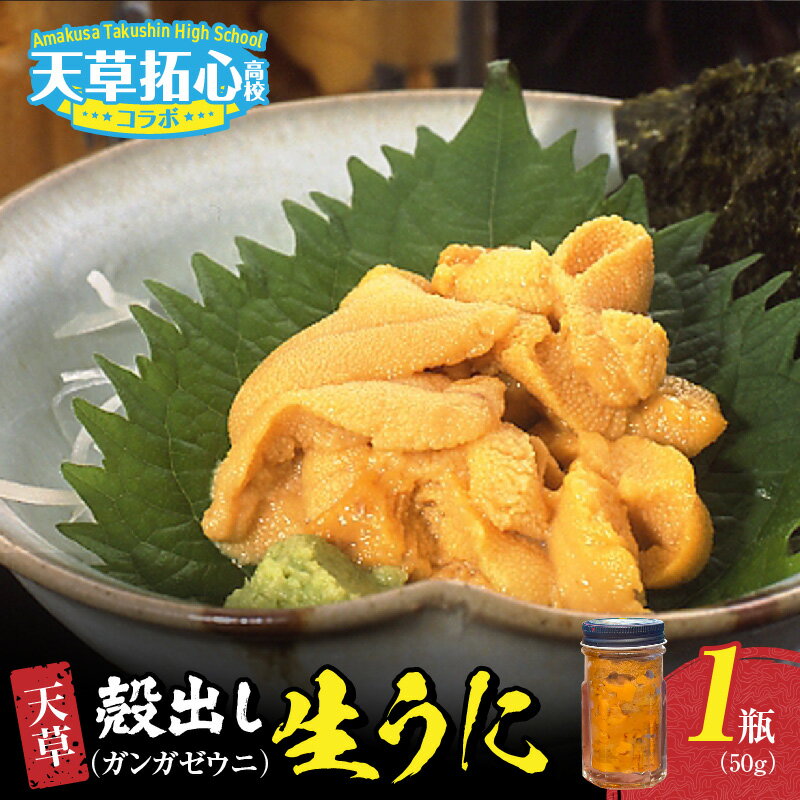 【ふるさと納税】殻出し 生うに ガンガゼウニ 50g × 1瓶 うに 素潜り 無塩 瓶詰め 濃厚 味わい 海の恵み 海の幸 磯の香り 冷蔵 新鮮 栄養価 無菌海水 洗浄 ミョウバン不使用 そのままの美味しさ 熊本県 天草市 お取り寄せ お取り寄せグルメ 送料無料