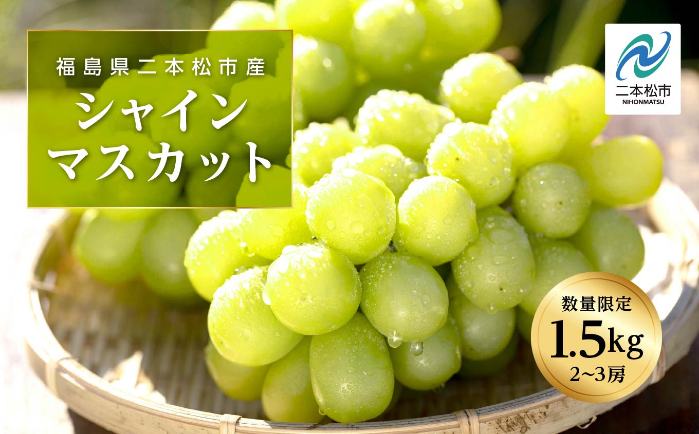 《2025年9月中旬以降発送》羽山のぶどうシャインマスカット1.5kg【羽山果樹組合】