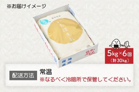 【令和5年産】定期便 ≪6ヶ月連続お届け≫ 福井県のブランド米 いちほまれ 無洗米 5kg × 6回 計30kg 【 無洗米 人気 品種 ブランド米 特A 】 [F-6165]