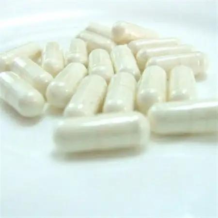 栄養補助食品 スーパーコンドロイチン(1箱60粒入り)サプリメント【1617787】