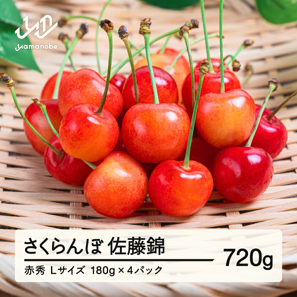 【ふるさと納税】【先行予約】さくらんぼ 佐藤錦 赤秀品 L玉 ご家庭用 180g×4パック 2026年産 令和8年産 山形県産 送料無料 mm-snplx800
