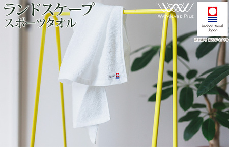 （今治タオルブランド認定）ランドスケープスポーツタオル １枚 オフホワイト 今治タオル スポーツタオル [IA05210OW]