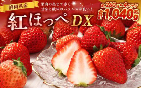 紅ほっぺ DX 約260g×4パック 計1,040g 【2026年1月上旬-3月下旬まで順次発送予定】｜ いちご 苺 果物 くだもの フルーツ 紅ほっぺ