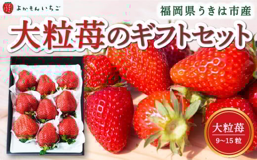 よかもんいちご 大粒苺のギフトセットA 2026年2月発送 いちご イチゴ 苺 大粒 フルーツ 果物 贈答 贈り物 ギフト 令和7年 九州 福岡 うきは市