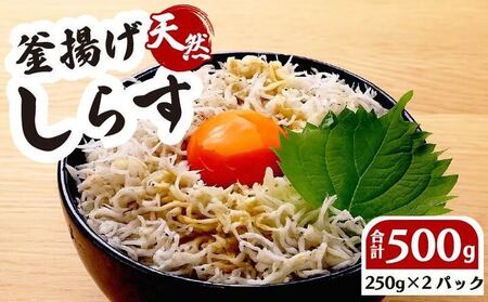 釜揚げしらす 250g 2パック 計 500g しらす 【坂口産業】