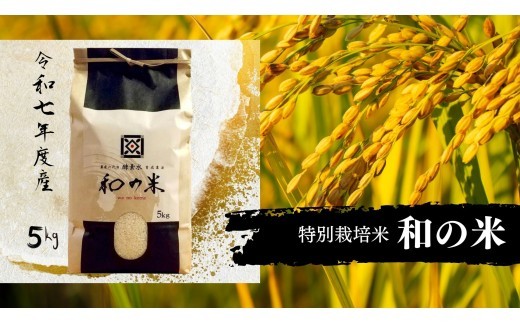《 令和7年産 》和の米　「酵素米」　玄米5kg ／ 米 こめ コメ お米 おこめ コシヒカリ こしひかり 和の米 酵素米 特別栽培認証 玄米 ごはん ご飯 令和7年産 5kg 茨城県 利根町 送料無料