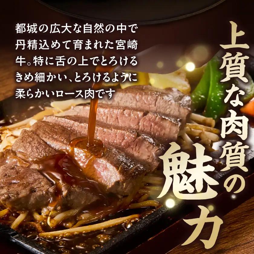 宮崎牛ロースステーキ1枚(220g)〔LG8-84-012-1〕