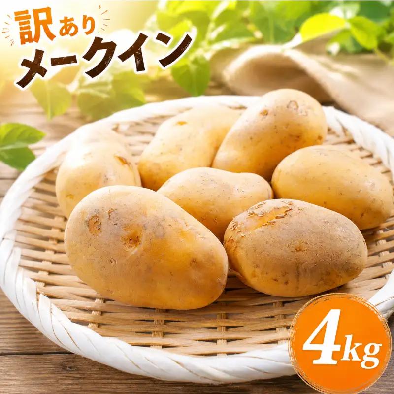 じゃがいも 訳あり 4kg TNK013 じゃがいも