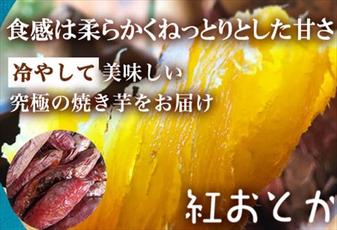 冷凍焼き芋 紅おとか (紅はるか系)＆ハニープぺル(安納芋) 食べ比べセット (合計1.2kg) 桃山天下芋本舗 やきいも さつまいも おやつ