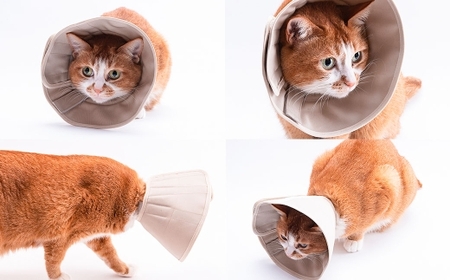 【Sサイズ】ぽぽねこ 軽くて柔らかい猫用エリザベスカラー 傷口が見えにくい・ソフト・軽量タイプ「共通返礼品」 | 布製 防汚 撥水 撥油素材 エリザベスカラー ペット ペット用品 ねこ ネコ 茨城県 