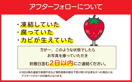 いちご【2月以降発送】朝採れとちおとめ レギュラーサイズ 約270g × 4パック 合計 約1080g |イチゴ いちご