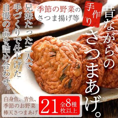 ふるさと納税 いちき串木野市 手づくりさつま揚げセレクトセット(白身魚と青魚のさつま揚げと季節の野菜天5種