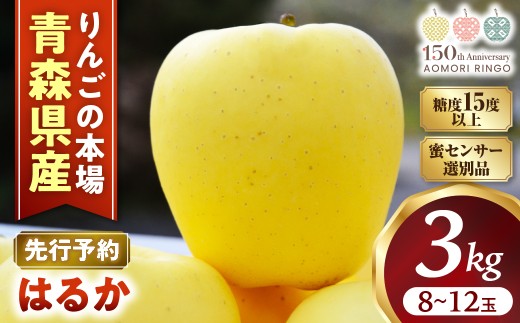 ★蜜センサー選別品★高級りんご【はるか】約3kg（8～12玉）【2026年産・先行予約】★2026年12月上旬～2027年1月上旬頃まで発送予定★ りんご 林檎 リンゴ 希少 はるか フルーツ 果物 国産 贈答 土産 青森県 三戸町 H2833 AK-16-003