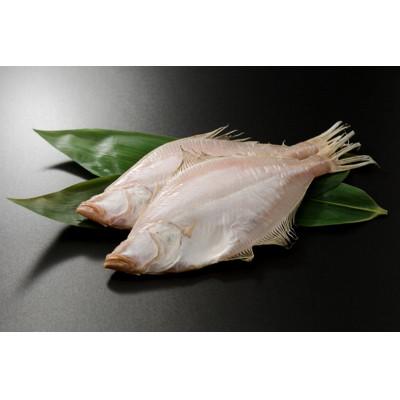 ふるさと納税 京丹後市 【店主一押し!絶品干物!高リピート!】エテカレイ一夜干し干物セット 中サイズ(朝食サイズ)12枚 |  | 01