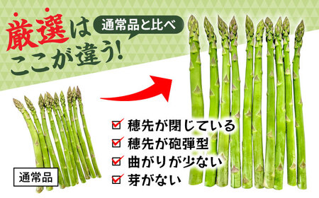 【先行予約】数量限定！モーモーアスパラ春芽 3L 1.2kg（3月下旬より順次発送） 超極太のみ厳選！ 1.2kg 日田市 / 有限会社本川牧場[ARAI033]