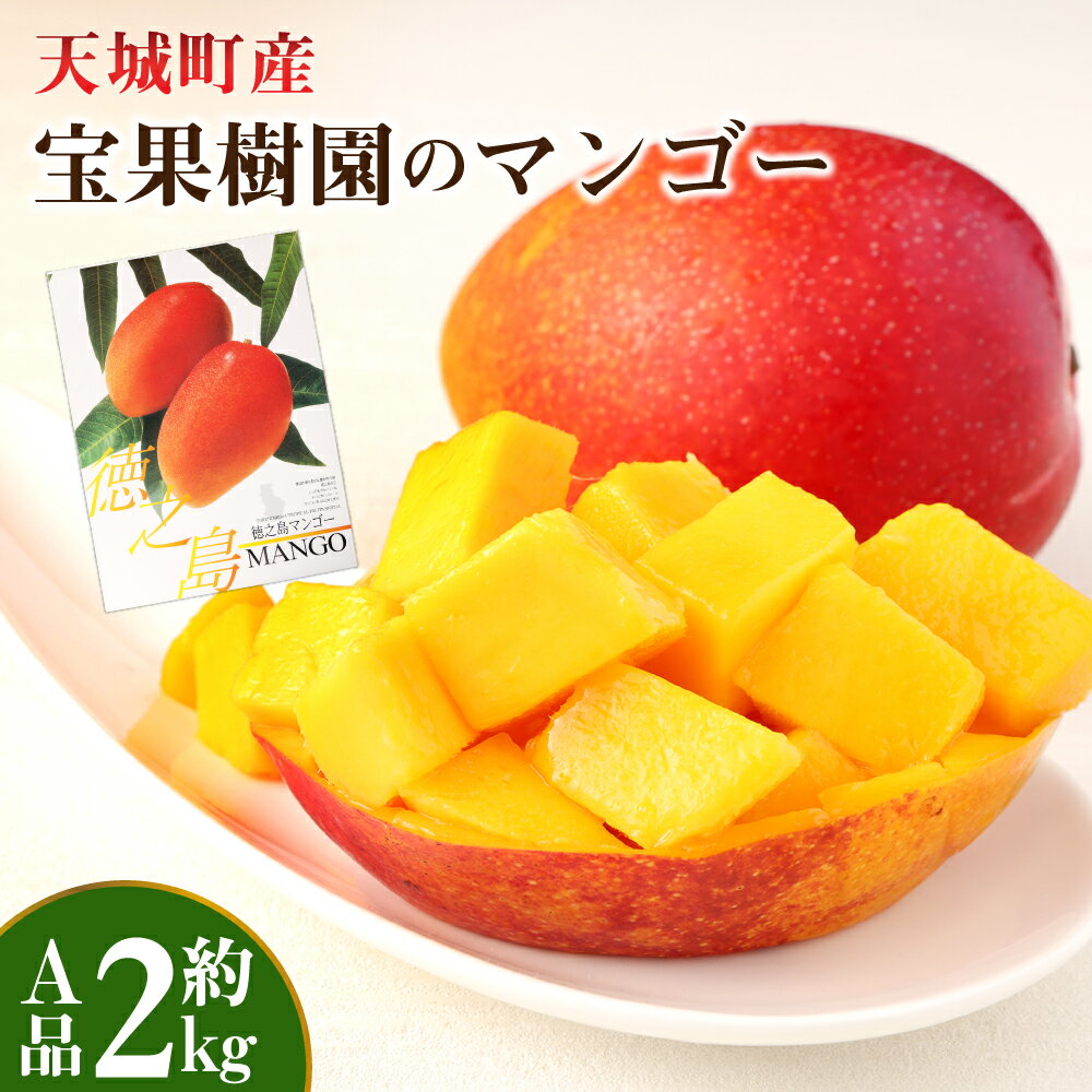 【ふるさと納税】【2025年発送】宝果樹園 マンゴー A品 約2kg 4～6玉 贈答用 マンゴー 果物 くだもの フルーツ ギフト 冷蔵 国産 徳之島 天城町産 送料無料