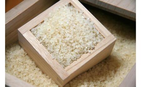 桐米びつ30kg 国産 日本製 収納 米櫃新潟県田上町