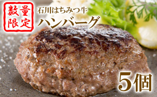 
【数量限定】石川はちみつ牛ハンバーグ（5個）【13001】
