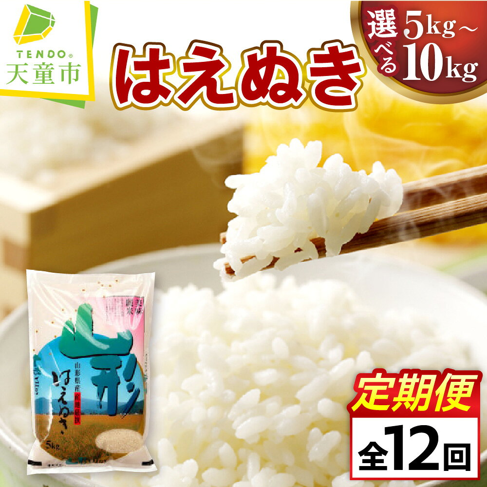 【ふるさと納税】 はえぬき 12回 定期便 【選べる】 毎月 5kg (5kg×1袋) / 10kg (5kg×2袋) 令和8年産 新米 先行予約 米 年間定期便 小分け 便利 おすそ分け コメ お米 精米 ブランド米 白米 ご飯 おにぎり お弁当 大容量 お取り寄せ 産地直送 送料無料 【 山形県 天童市 】