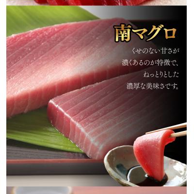 ふるさと納税 室戸市 【中トロ】天然南マグロ　中トロ　1柵　【解凍書付】 |  | 01