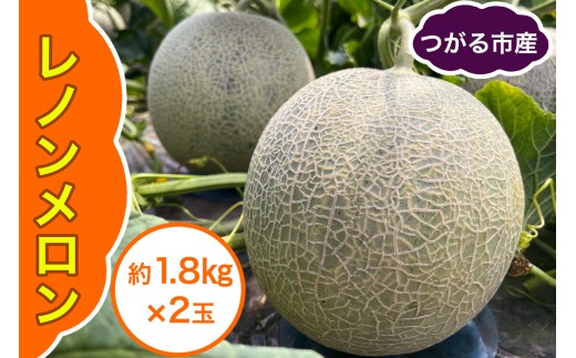 レノン メロン 約1.8kg×2玉｜2026年 令和8年 青森 津軽 つがる産 レノン メロン めろん 特産 ジューシー 糖度 フルーツ 果物 ギフト 産直 赤肉メロン 夏メロン [0859]