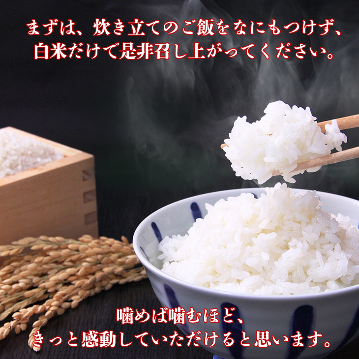 【定期便 6ヶ月】 減農薬栽培 ひとめぼれ 無洗米 5kg 【713】_イメージ5