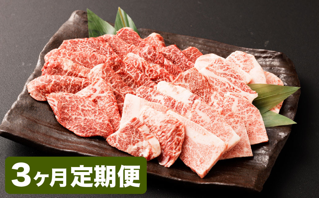 【3カ月定期便】【黒毛和牛】 おおいた和牛/カルビ＆赤身 焼肉食べ比べセット（各約150g×2P）×3回 計約1.8kg