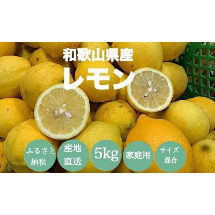 【ふるさと納税】［産地直送］和歌山県産 レモン 5kg 家庭用 ［US47］ | 和歌山県 和歌山 那智勝浦町 返礼品 檸檬 果物 くだもの フルーツ 果実 旬の果物 旬のフルーツ 柑橘類 かんきつ類 柑橘 柑橘系 訳あり