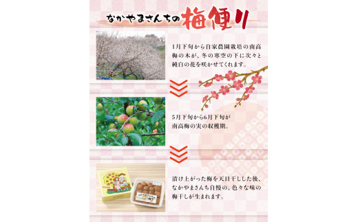 紀州南高梅　かつお【ハチミツ入】 塩分5%（2kg）なかやまさんちの梅干　うめ　ウメ【nky009-220k】_イメージ5