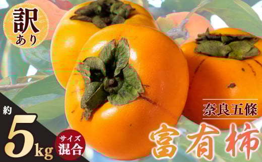 訳あり 富有柿 約 5kg サイズおまかせ | フルーツ くだもの 果物 柿 かき カキ 奈良県 五條市 柿の王様 わけあり 訳アリ フルーツ 果実 食感 こだわり 11月 秋 旬 味覚 グルメ お取り寄せ 送料無料 LIP～幸せいちご園～ 大容量 農家直送 産地直送 ビタミン タンニン 食物繊維 豊富 美容 健康
