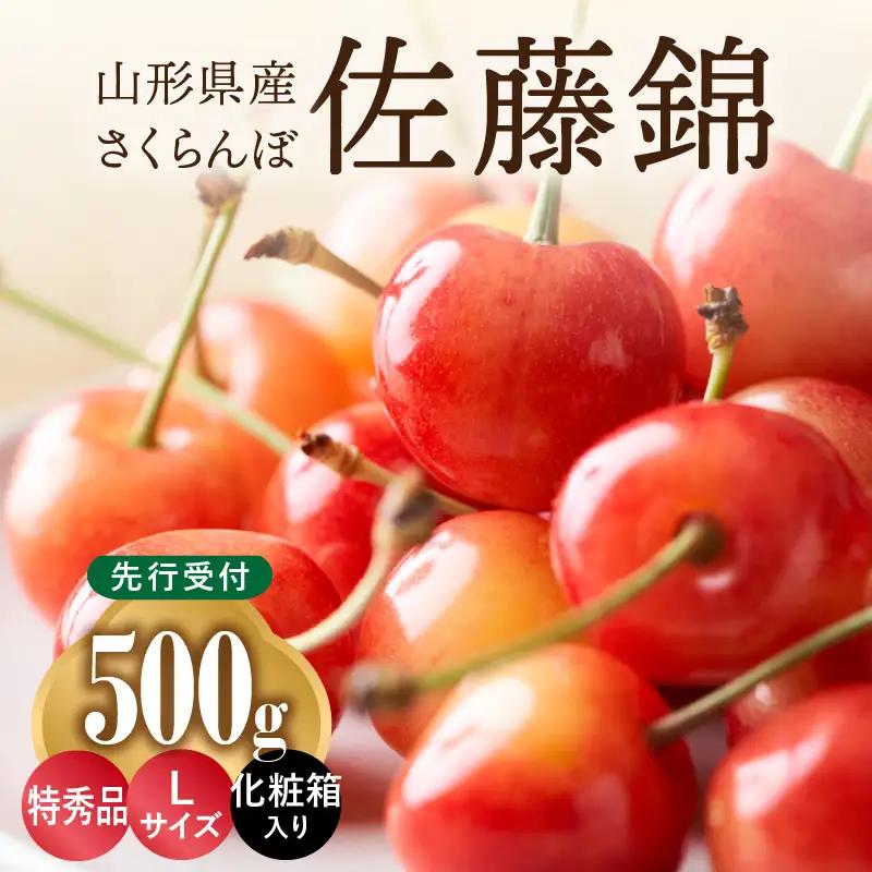 ≪先行予約≫さくらんぼ 佐藤錦 500g 特秀品 Lサイズ 化粧箱入【2026年6月中旬頃～発送予定】【山形県産さくらんぼ】さくらんぼ サクランボ 001-071