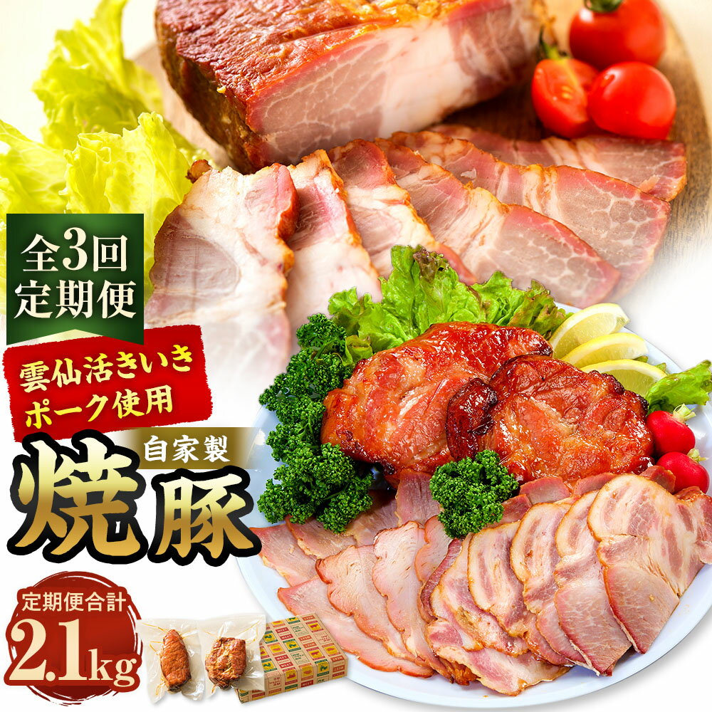 【ふるさと納税】【全3回定期便】自家製焼豚 計700g（350g×2個） セット 化粧箱入り チャーシュー 豚肉 お肉 タレ 醤油 生姜 ニンニク 惣菜 真空パック 冷蔵 長崎県産 国産 九州 長崎県 長崎市 送料無料