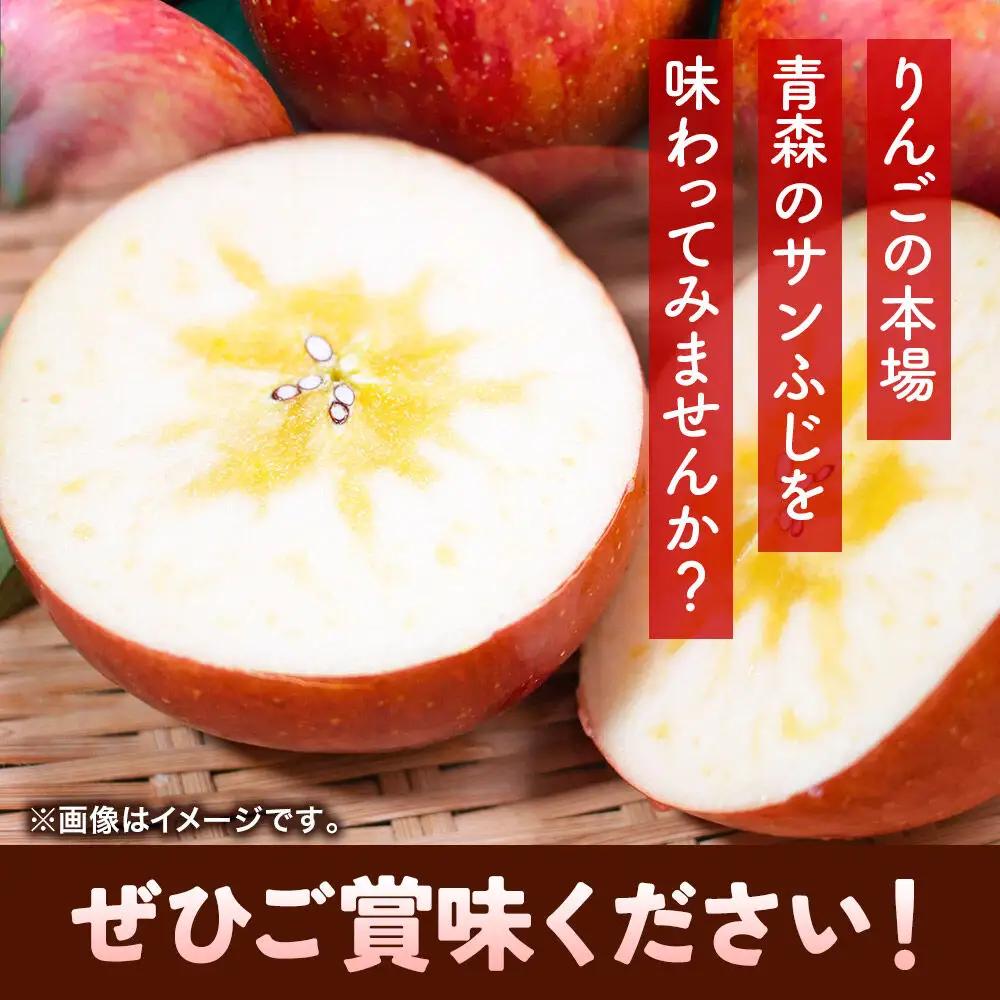 りんご サンふじ 贈答用 約3kg【1月発送】りんご