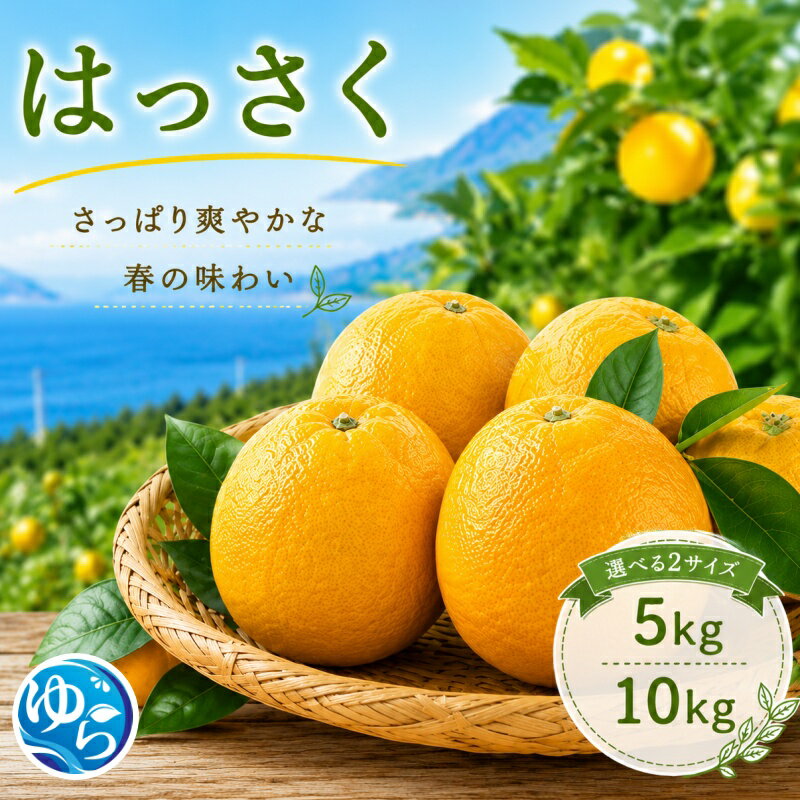 【ふるさと納税】和歌山県産 はっさく 5kg 10kg 不揃い サイズおまかせ / 八朔 柑橘 果物 和歌山 ※2027年2月中旬～3月中旬に順次発送予定 ※北海道・沖縄・離島配送不可