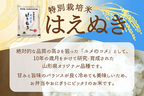 【定期便】＜令和8年産＞はえぬき 無洗米 10kg×1年間 毎月お届け 特別栽培米 山形県庄内町産 庄内米 ブランド米 米 コシヒカリの原点、亀の尾発祥の地 お米の定期便 甘み 粘り バランスの良い 
