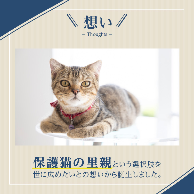 アクリル製キャットタワー3段［149F01］_イメージ4