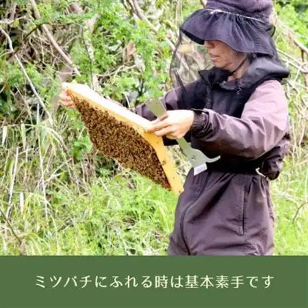 千葉県佐倉市産 百花蜂蜜 食べ比べセット(計3本)【1679008】