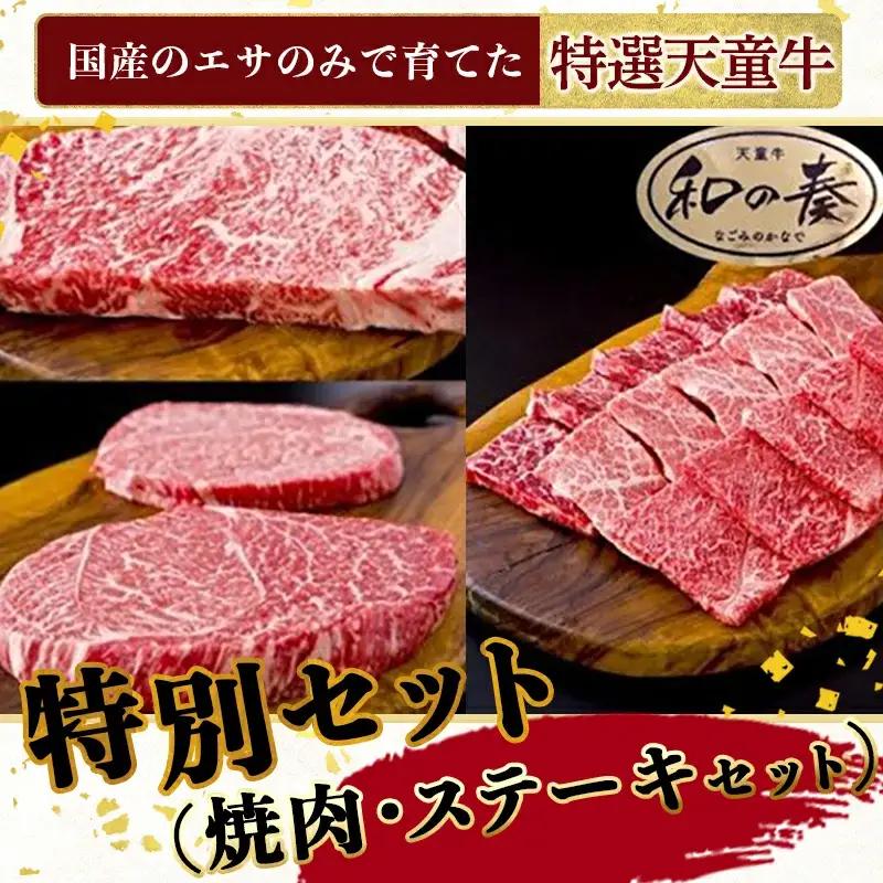 農林水産大臣賞受賞 特選 天童牛 和の奏 特別 セット 焼肉 ステーキ セット