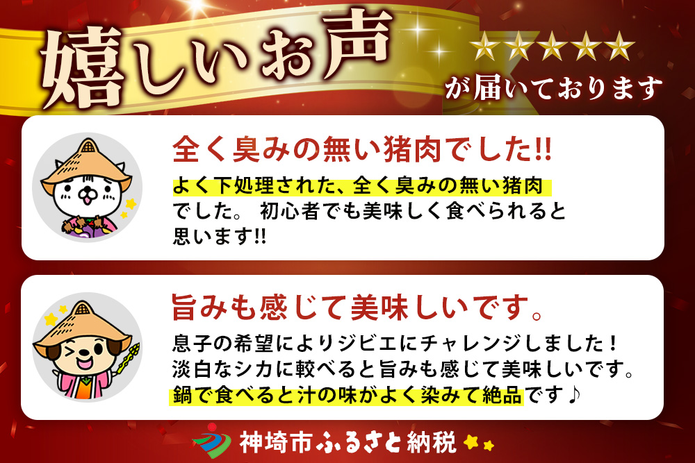 脊振ジビエ イノシシ肉バラエティセット 約1.4kg【脊振 ロース ばら 肩ロース ミンチ カレー 鍋 セット】(H059118)