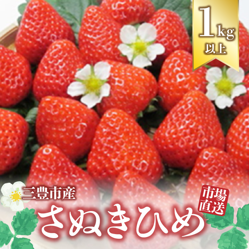 M64-0015_【2025年分】【1月中旬より発送】三豊市産【市場直送 さぬきひめ 1.0kg以上】