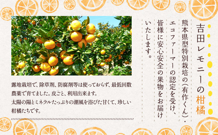 レモン果汁入り三姉妹180ml 8本セット （みかんジュース）