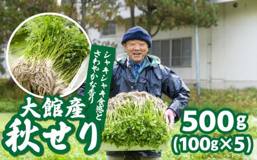 【期間・数量限定 先行受付】秋セリ 55P079001 / 東北 秋田 大館 大館市 山菜 山田 自然  せり セリ せり鍋 セリ鍋 野菜 根 根っこ ねっこ 根付 根つき 根っこ