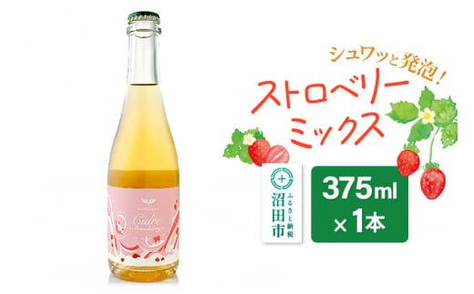 ストロベリー ミックス 375ml×1本 Fukiware Cidrerie