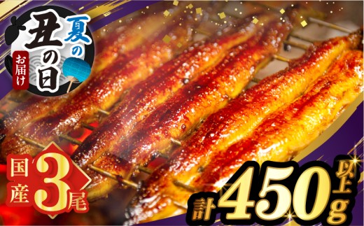 【夏の丑の日までにお届け!!】うなぎ蒲焼3尾(さんしょう・たれ付き)計450g以上 鰻 魚 魚介 加工品 国産_T026-0145-US2