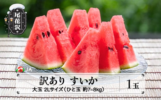 数量限定 訳あり すいか 2Lサイズ(約7~8kg)×1玉 7月下旬~8月10日頃発送 令和8年産 ※沖縄・離島への配送不可 ja-su2wx1