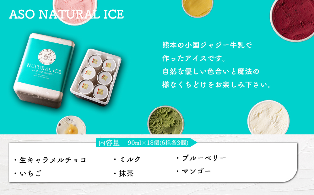 阿蘇天然アイス18個セット（生キャラメルチョコ・ブルーベリー・抹茶・いちご・マンゴー・ミルク）6種×3個 計18個 ジェラート アイス セット フルーツ 果物 無添加 無着色 スイーツ お取り寄せ ギ