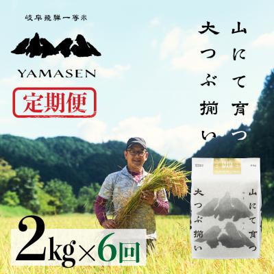 ふるさと納税 下呂市  (2026年10月から毎月発送)【2026年産】【定期便】山仙2kg×6回【51-I】