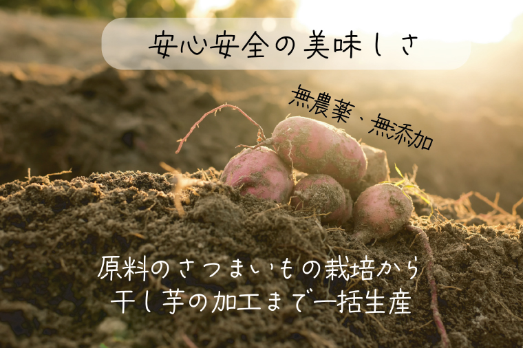 茨城県産 紅はるか 天日干しほしいも2.2kg（220g×10袋）【大容量 国産 干し芋 無添加 おやつ 和スイーツ さつまいも 自然食品 人気 サツマイモ 和菓子 ヘルシー 水戸市】（NM-4）