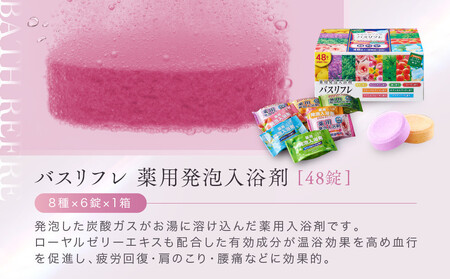 有田川町 製造 入浴剤 アソート セット 60日分 12種入り お風呂 日用品 バス用品 【 入浴剤 人気入浴剤 国産入浴剤 詰め合わせ 入浴剤 ギフト 入浴剤 お中元 入浴剤 贈答用 入浴剤 おうち