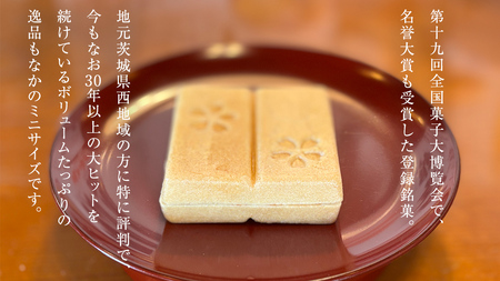 もち入り 「 館最中 」 6個 ( ミニサイズ ) 全国菓子大博覧会名誉大賞 和菓子 おかし お菓子 最中 もなか あんこ 餡子 小豆 あずき 餅 お餅 もち [AO025ci]